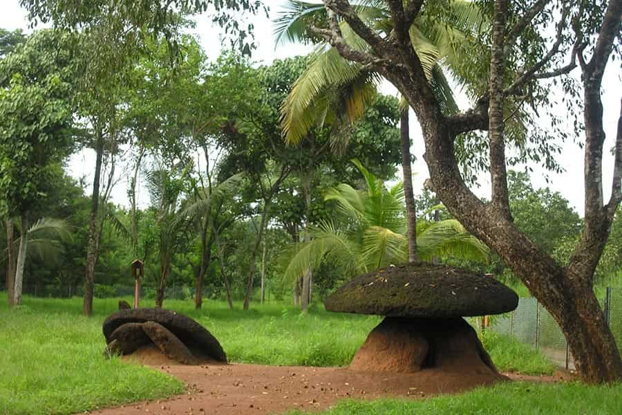 What Silence Teaches: Lessons from Kudakkallu Parambu